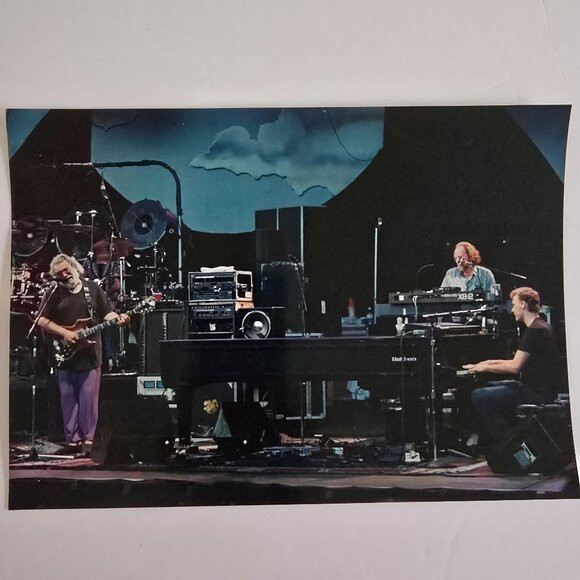 Grateful Dead Concert Photograph Licensed Rob Cohn Dead Images 8"x10" Band Perfo - Picture 6 of 14
